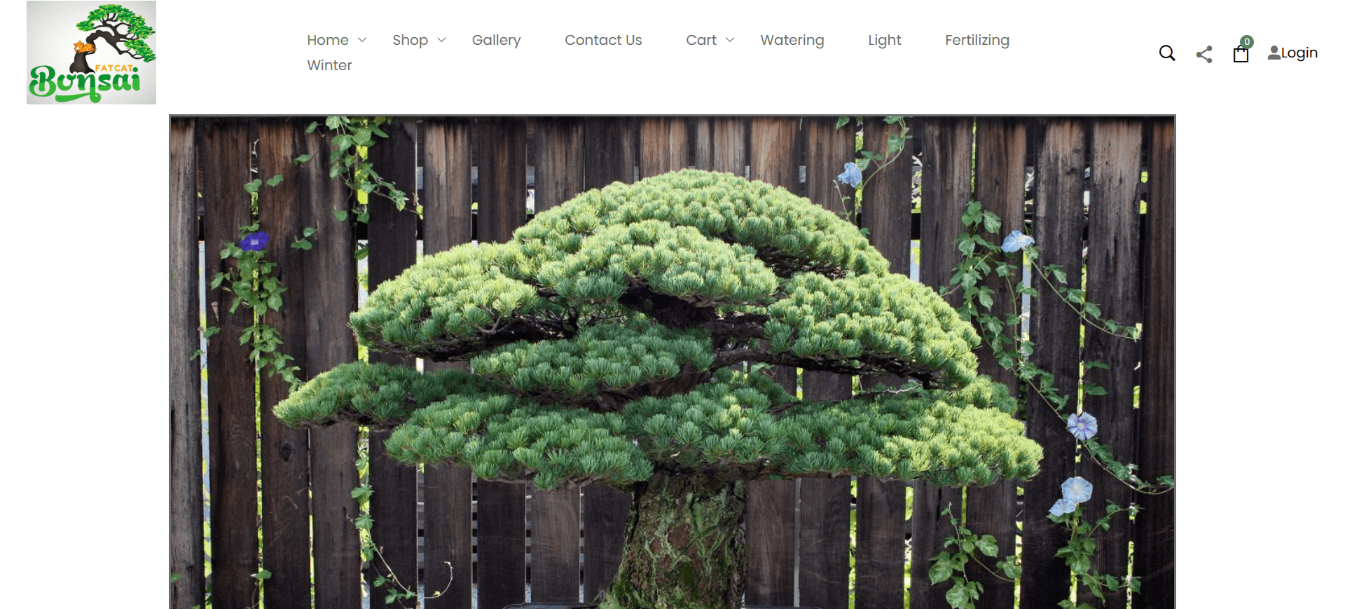 Bonsai Living Art